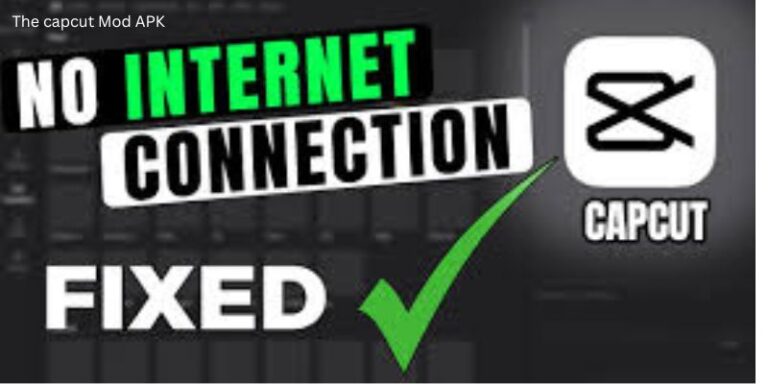 How To Solve Capcut No Internet Problem